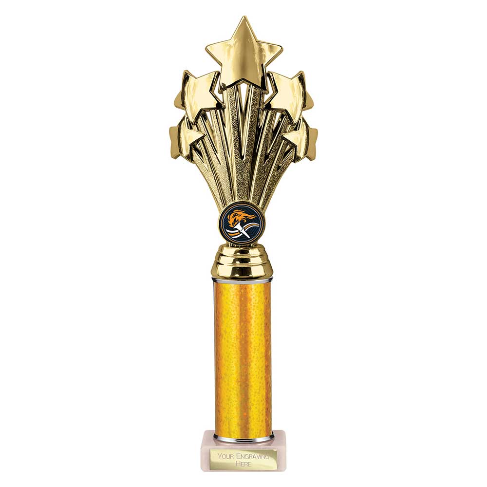 Multisport Award