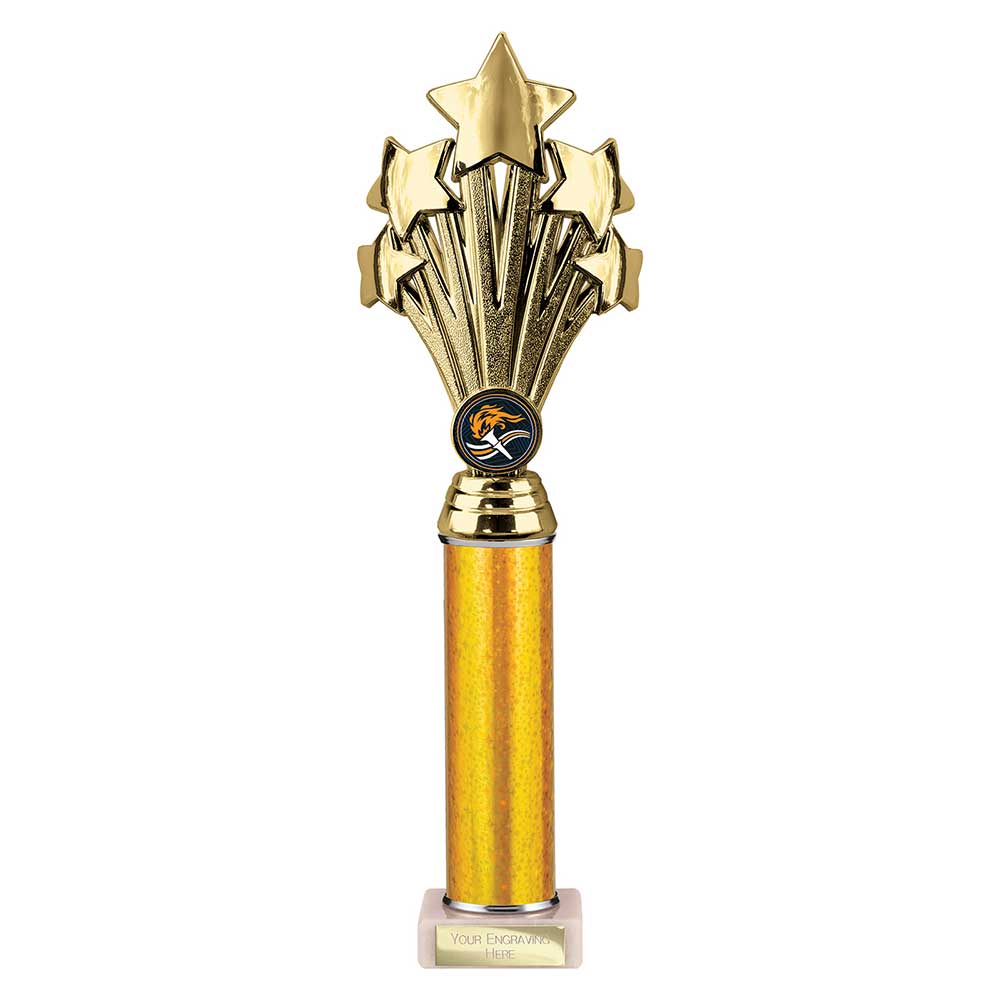 Multisport Award