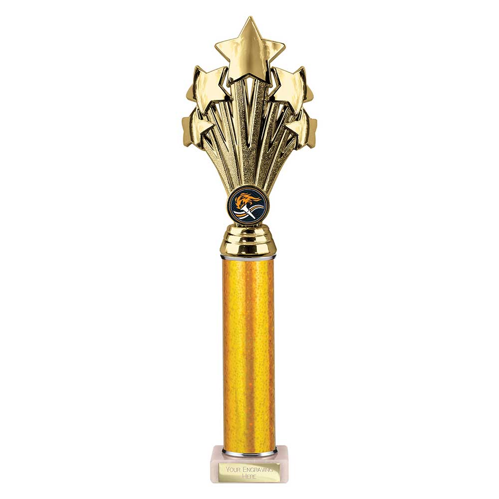 Multisport Award