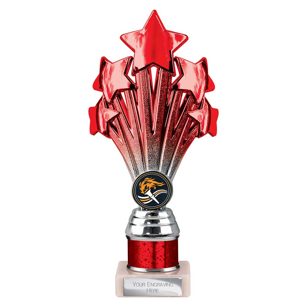 Multisport Award
