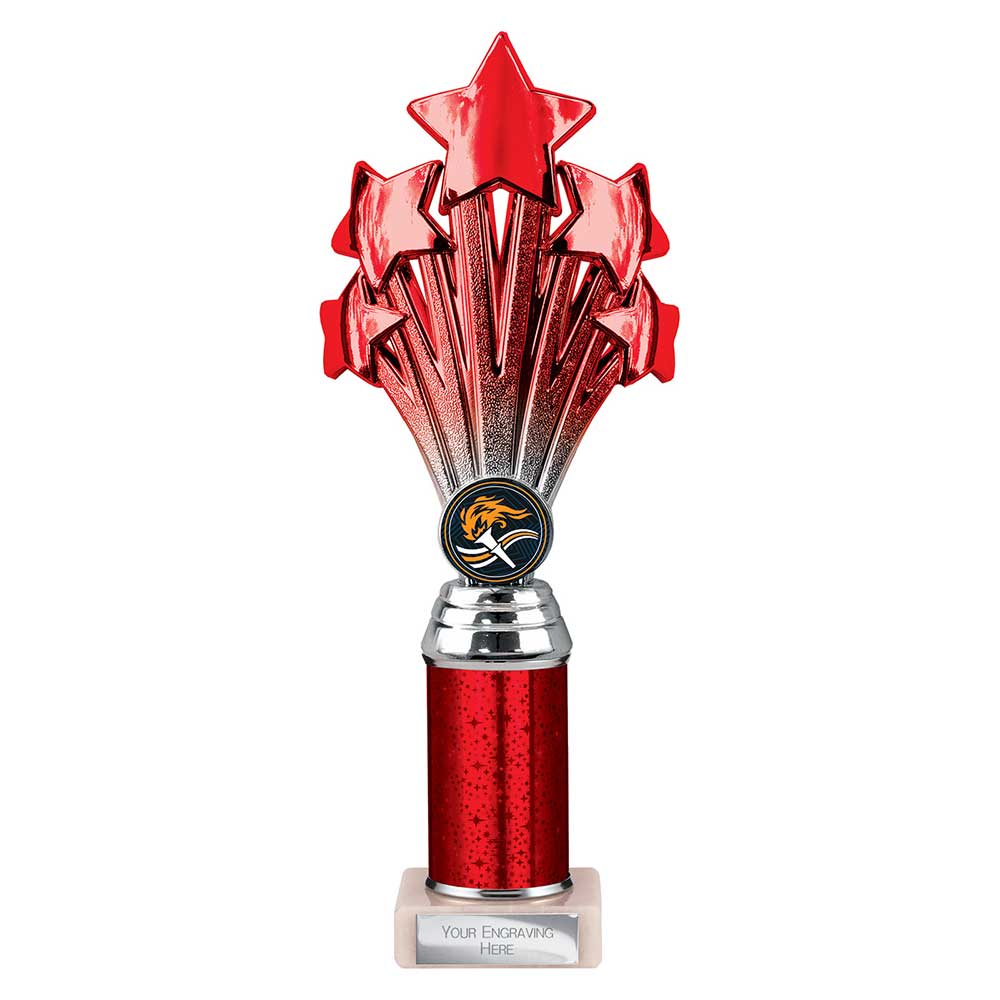 Multisport Award
