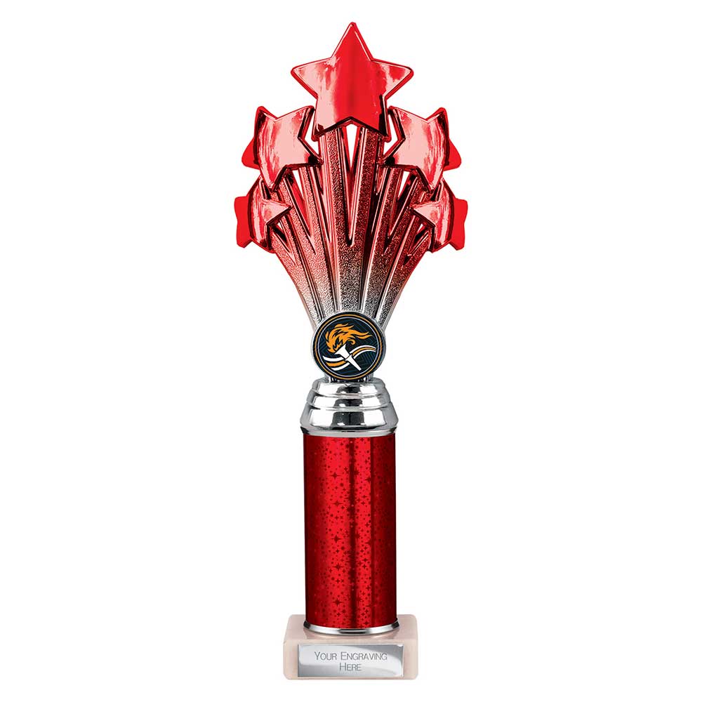 Multisport Award