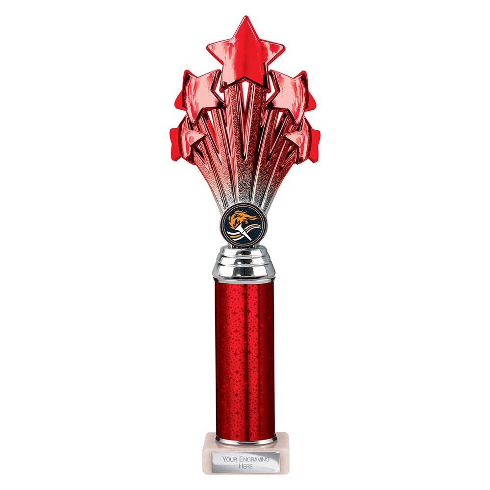 Multisport Award