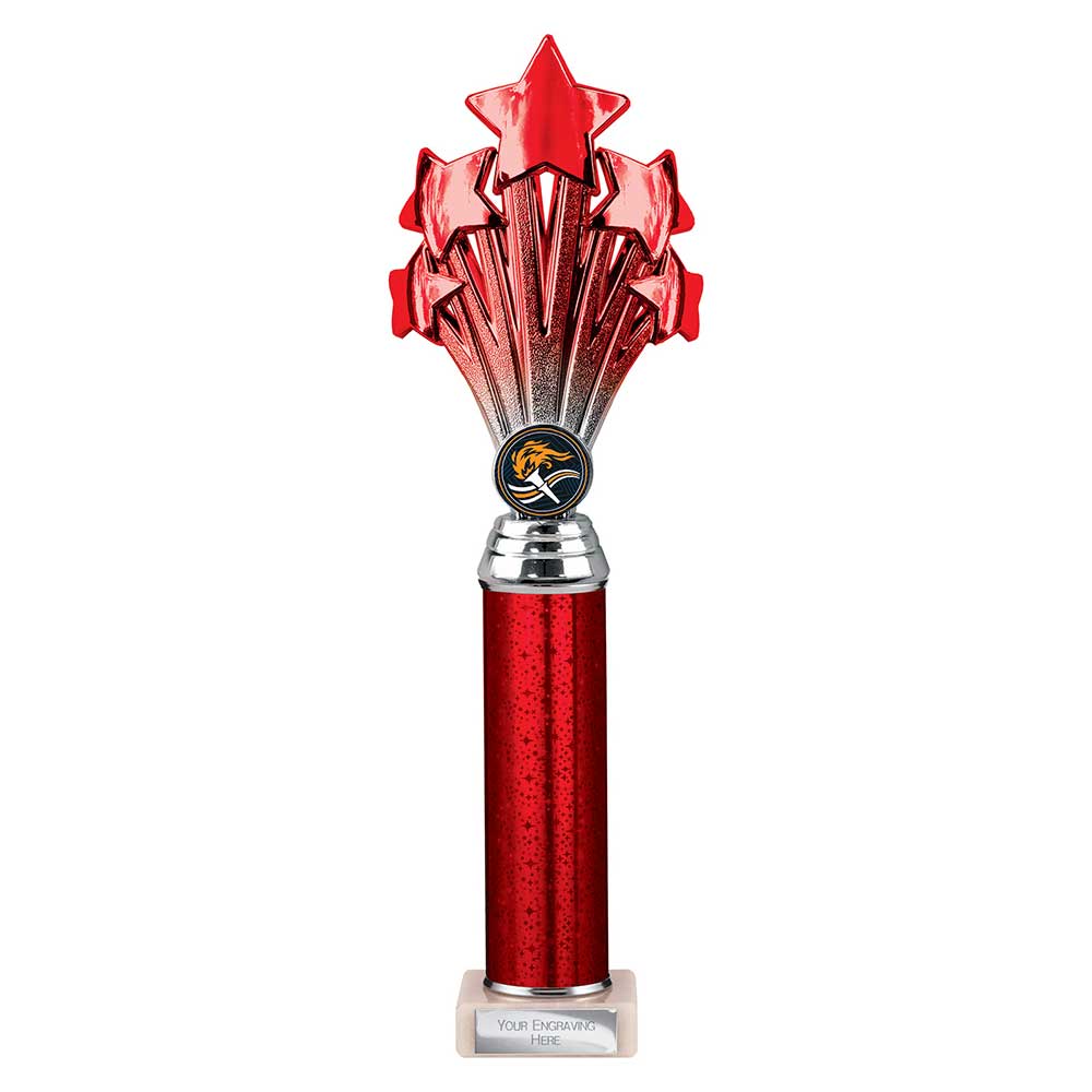Multisport Award