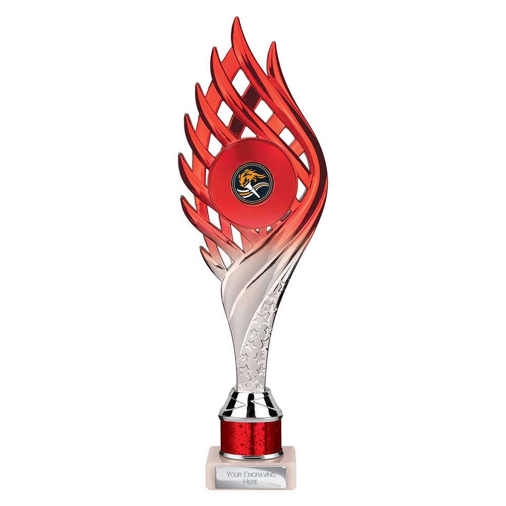Multisport Award