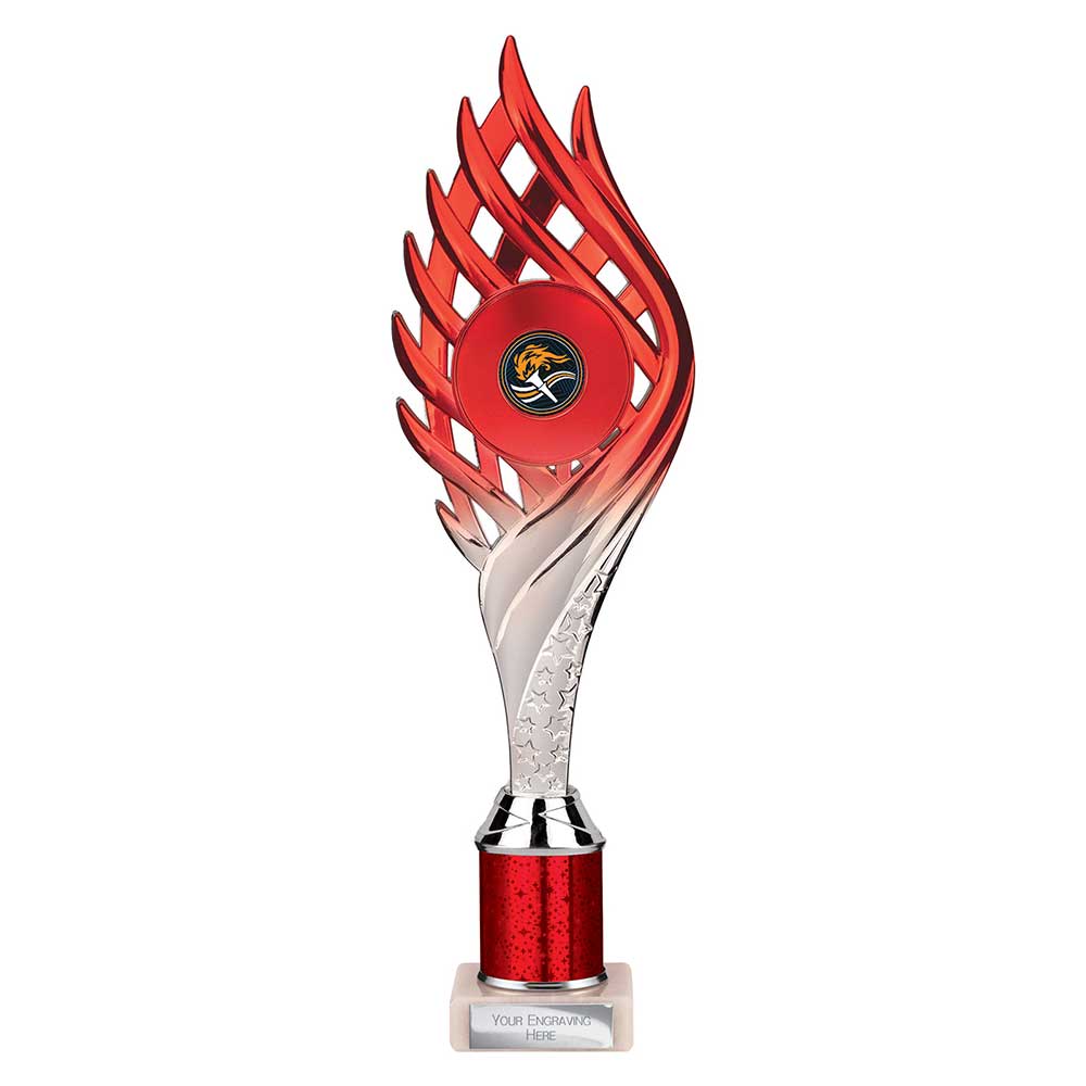 Multisport Award