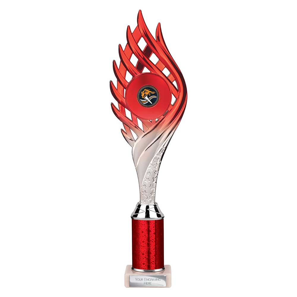 Multisport Award