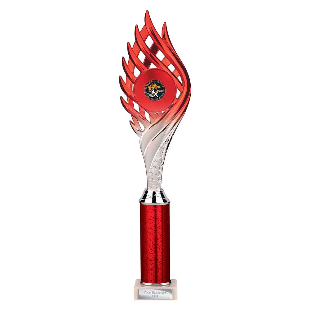 Multisport Award