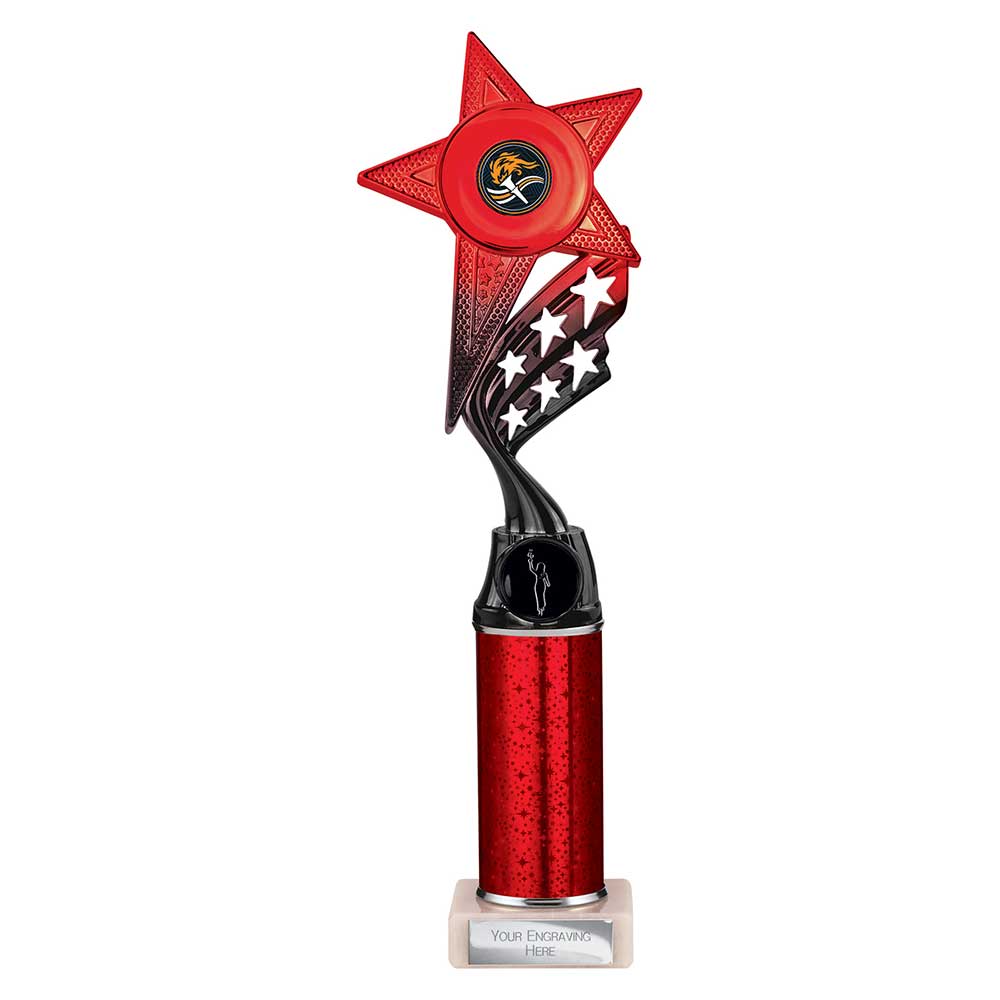 Multisport Award
