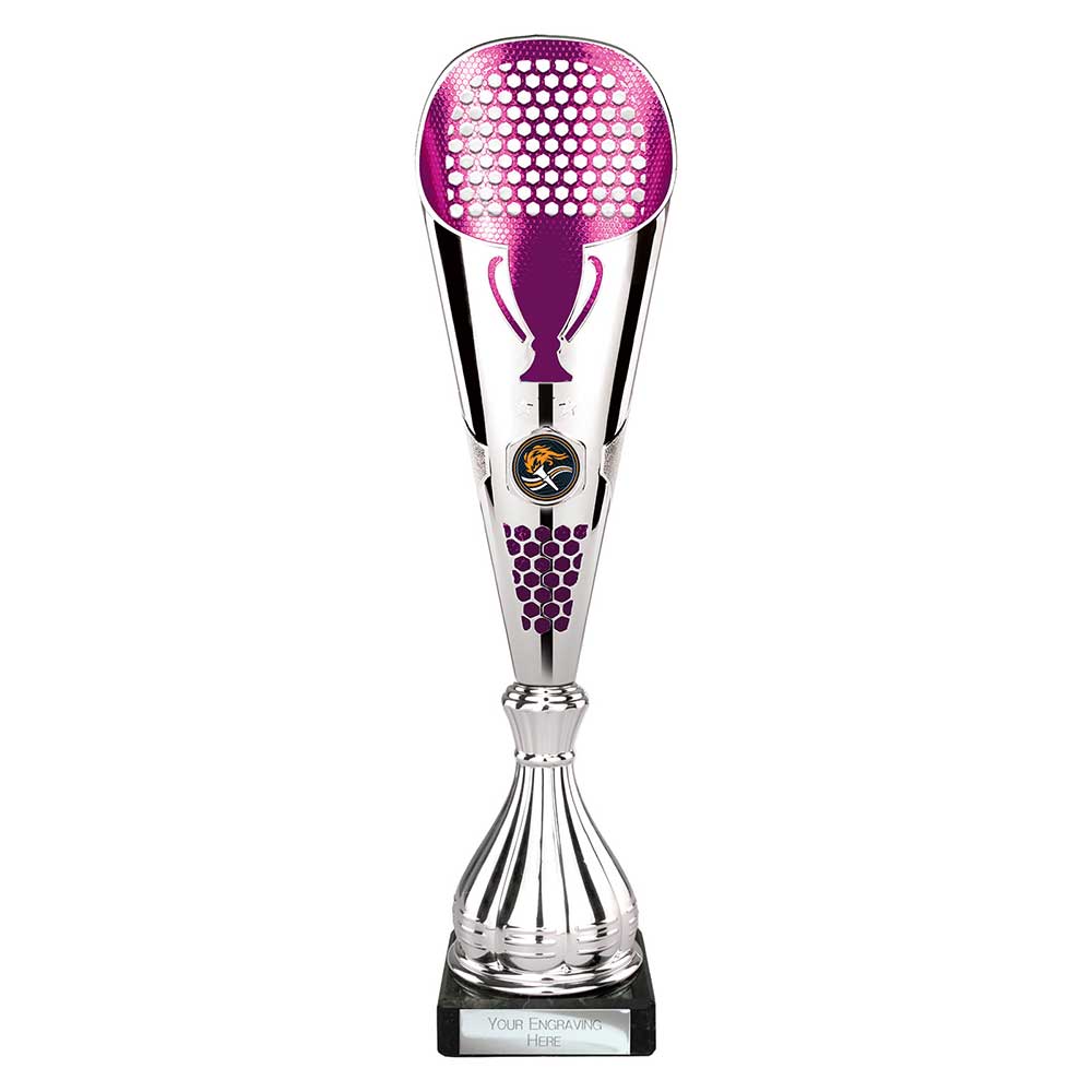 Multisport Award